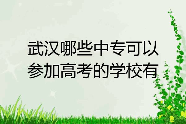 武汉哪些中专可以参加高考的学校有