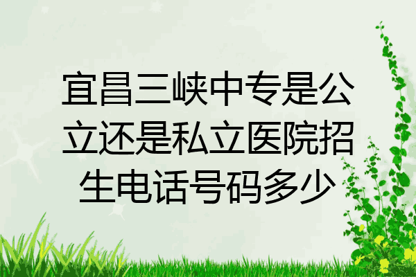 宜昌三峡中专是公立还是私立医院招生电话号码多少