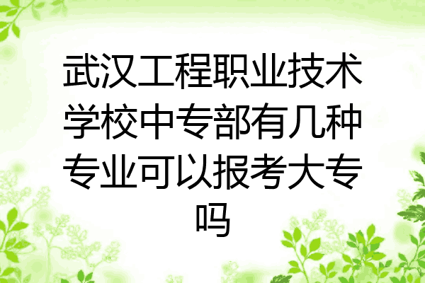 武汉工程职业技术学校中专部有几种专业可以报考大专吗