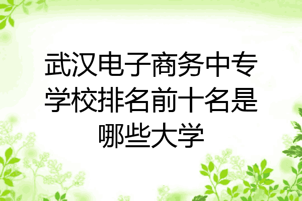 武汉电子商务中专学校排名前十名是哪些大学