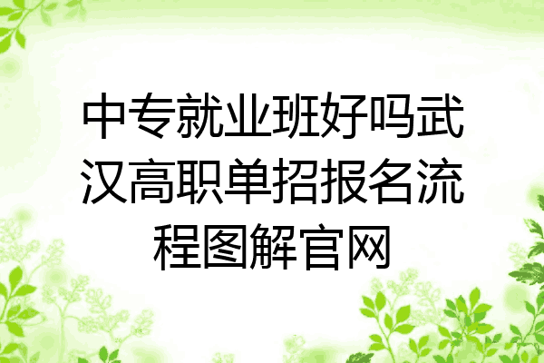 中专就业班好吗武汉高职单招报名流程图解官网