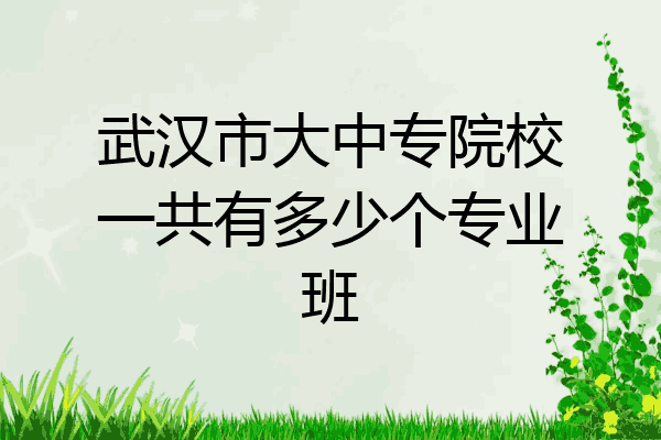 武汉市大中专院校一共有多少个专业班
