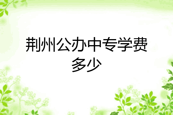荆州公办中专学费多少