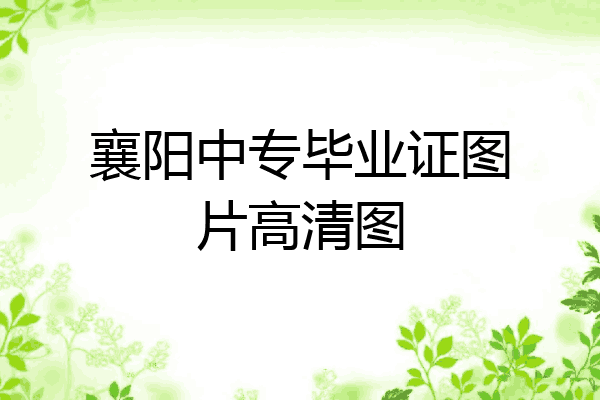 襄阳中专毕业证图片高清图