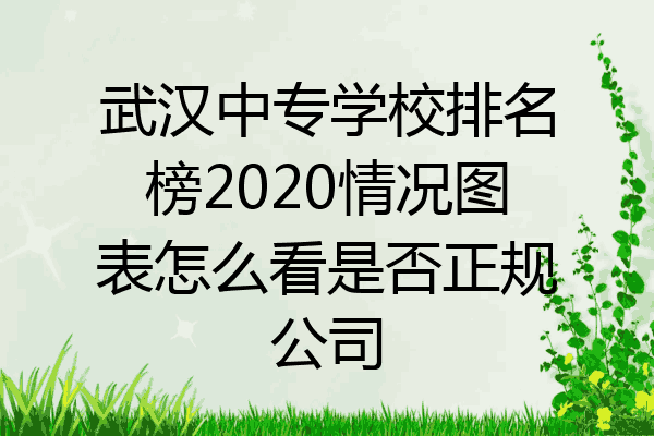 武汉中专学校排名榜2020情况图表怎么看是否正规公司