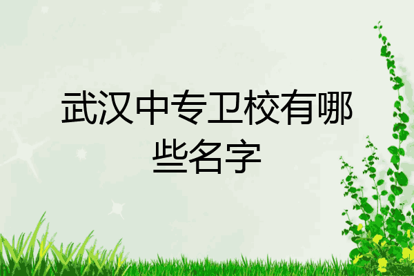 武汉中专卫校有哪些名字