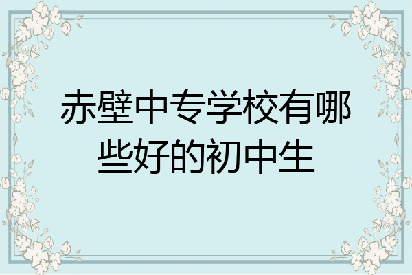 赤壁中专学校有哪些好的初中生