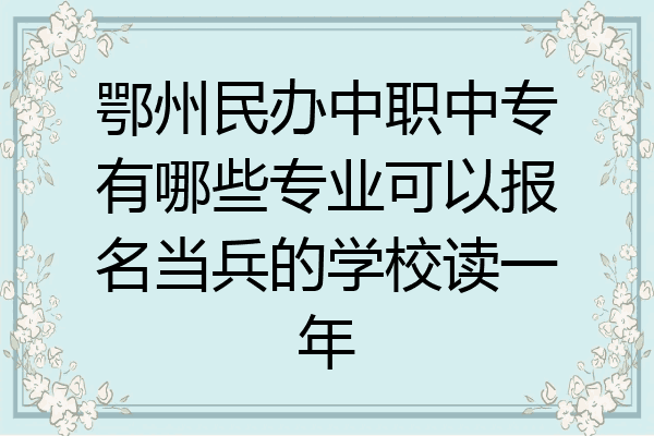 鄂州民办中职中专有哪些专业可以报名当兵的学校读一年