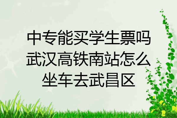 中专能买学生票吗武汉高铁南站怎么坐车去武昌区