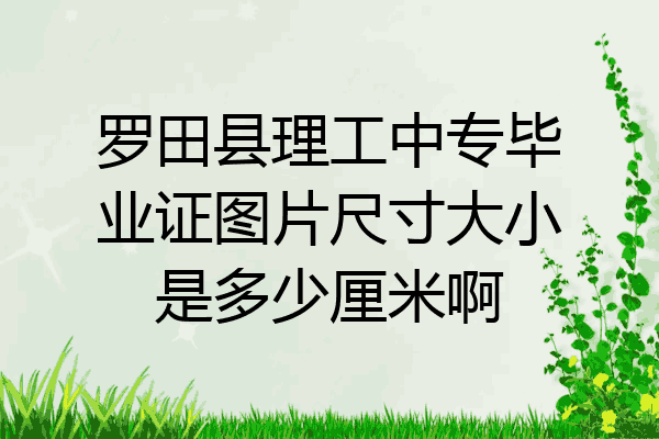 罗田县理工中专毕业证图片尺寸大小是多少厘米啊