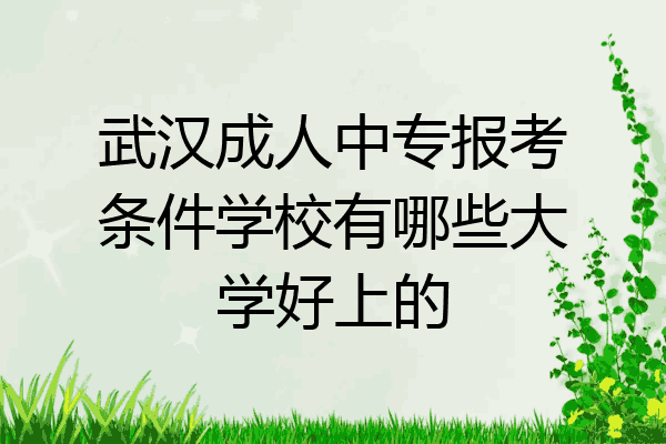 武汉成人中专报考条件学校有哪些大学好上的