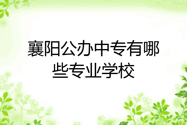 襄阳公办中专有哪些专业学校