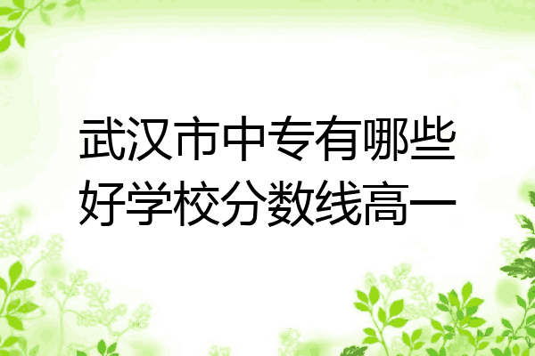 武汉市中专有哪些好学校分数线高一