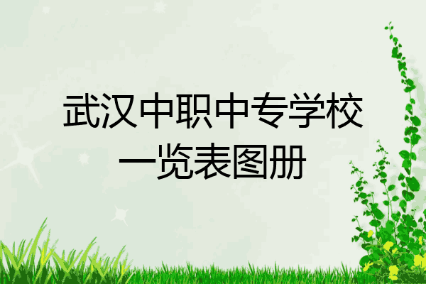 武汉中职中专学校一览表图册