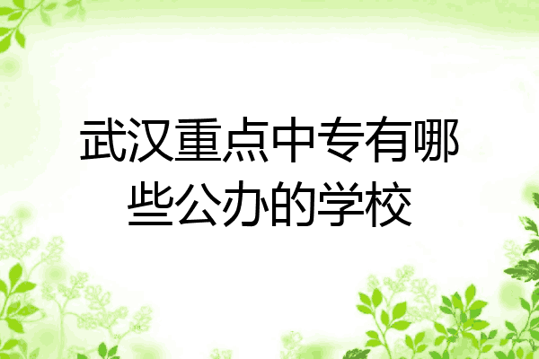 武汉重点中专有哪些公办的学校
