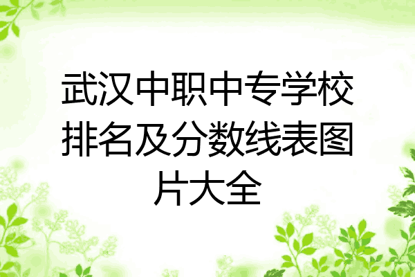 武汉中职中专学校排名及分数线表图片大全