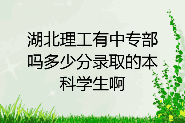 湖北理工有中专部吗多少分录取的本科学生啊