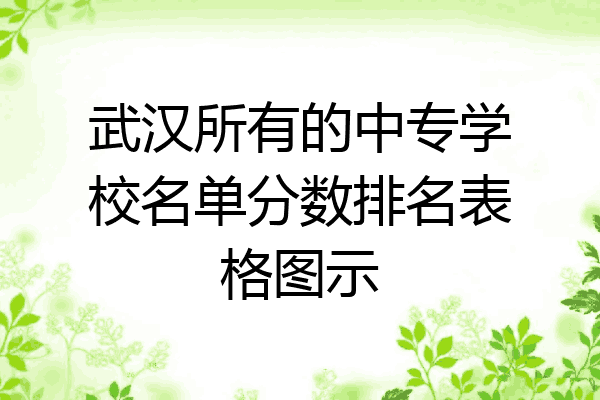 武汉所有的中专学校名单分数排名表格图示