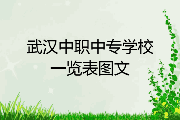 武汉中职中专学校一览表图文