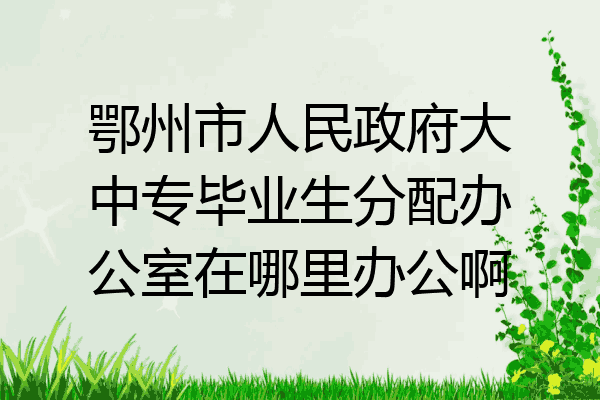 鄂州市人民政府大中专毕业生分配办公室在哪里办公啊