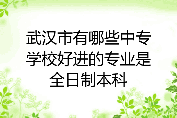 武汉市有哪些中专学校好进的专业是全日制本科