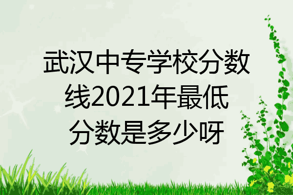 武汉中专学校分数线2021年最低分数是多少呀