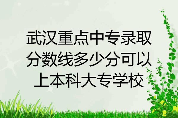 武汉重点中专录取分数线多少分可以上本科大专学校