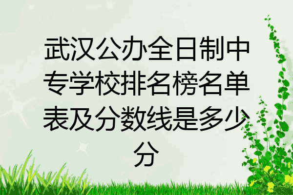 武汉公办全日制中专学校排名榜名单表及分数线是多少分