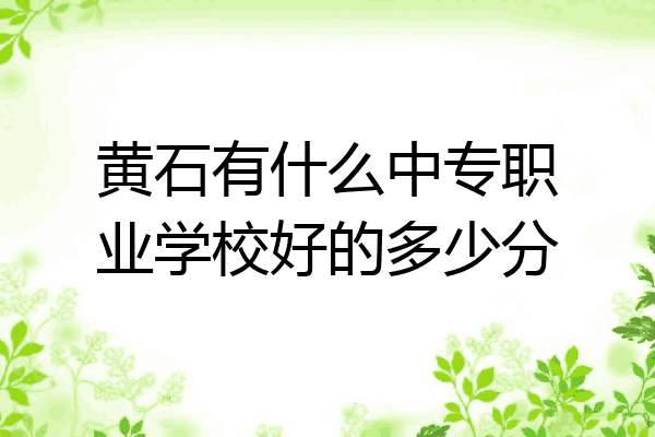 黄石有什么中专职业学校好的多少分