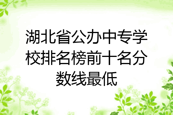 湖北省公办中专学校排名榜前十名分数线最低