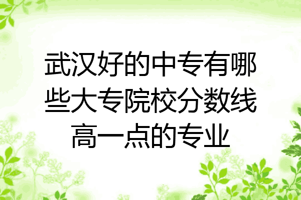 武汉好的中专有哪些大专院校分数线高一点的专业