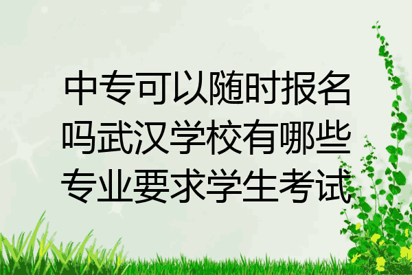 中专可以随时报名吗武汉学校有哪些专业要求学生考试
