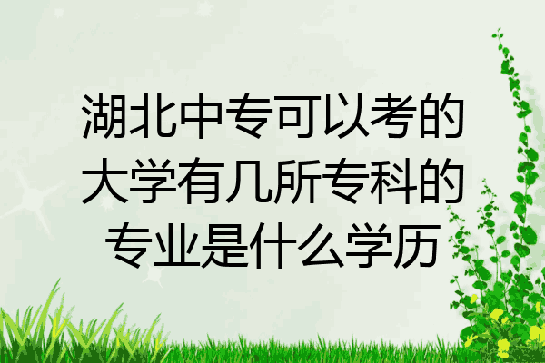湖北中专可以考的大学有几所专科的专业是什么学历