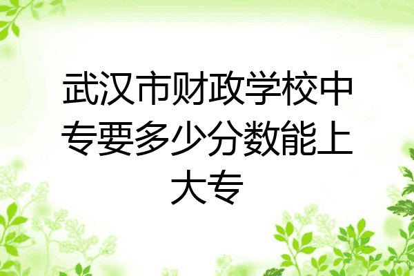 武汉市财政学校中专要多少分数能上大专