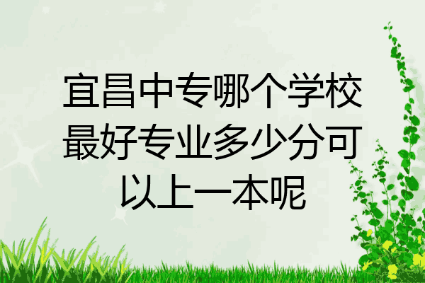 宜昌中专哪个学校最好专业多少分可以上一本呢
