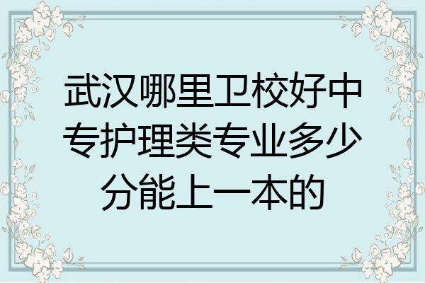 武汉哪里卫校好中专护理类专业多少分能上一本的