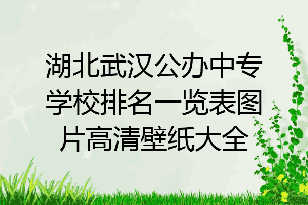 湖北武汉公办中专学校排名一览表图片高清壁纸大全