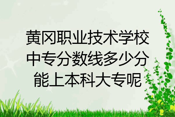 黄冈职业技术学校中专分数线多少分能上本科大专呢