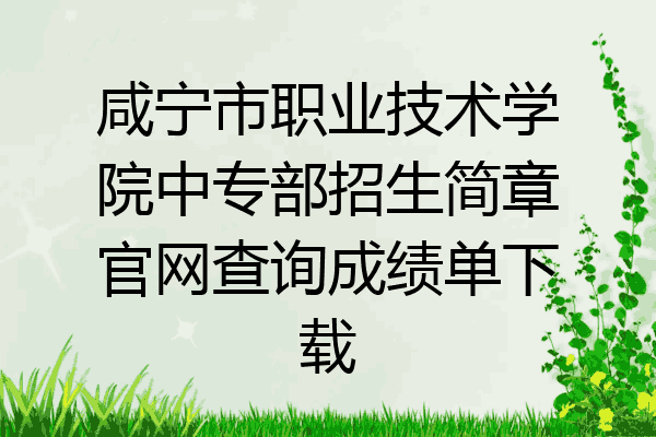 咸宁市职业技术学院中专部招生简章官网查询成绩单下载