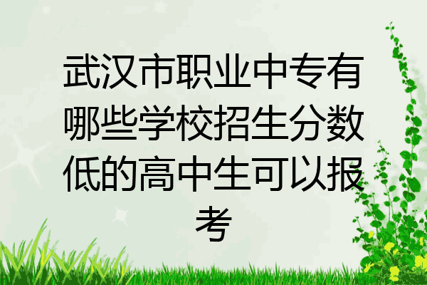 武汉市职业中专有哪些学校招生分数低的高中生可以报考