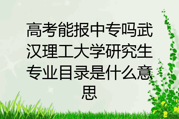 高考能报中专吗武汉理工大学研究生专业目录是什么意思