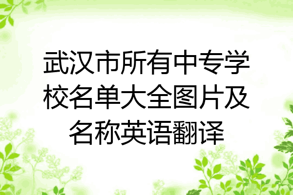 武汉市所有中专学校名单大全图片及名称英语翻译