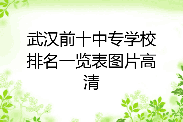 武汉前十中专学校排名一览表图片高清