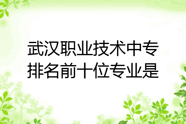 武汉职业技术中专排名前十位专业是