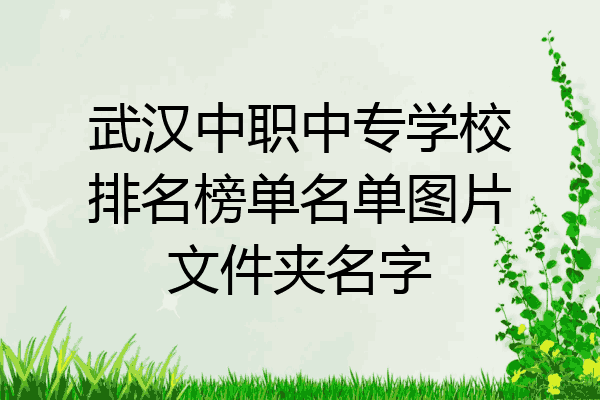 武汉中职中专学校排名榜单名单图片文件夹名字