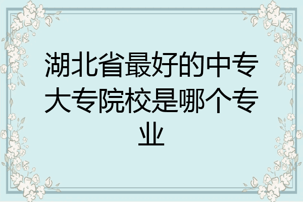 湖北省最好的中专大专院校是哪个专业