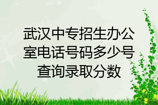 武汉中专招生办公室电话号码多少号查询录取分数