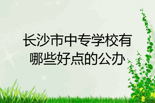 长沙市中专学校有哪些好点的公办