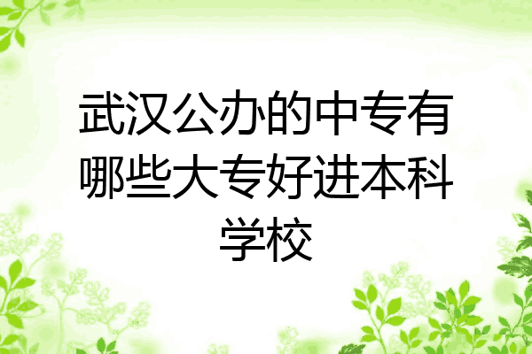 武汉公办的中专有哪些大专好进本科学校