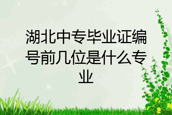 湖北中专毕业证编号前几位是什么专业